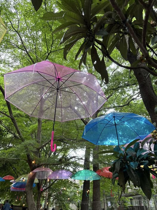 田園長後の朝市6月