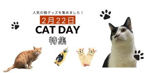 CATDAYバナー