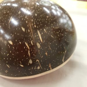 ココナツカリンバ・カメココナツ部分